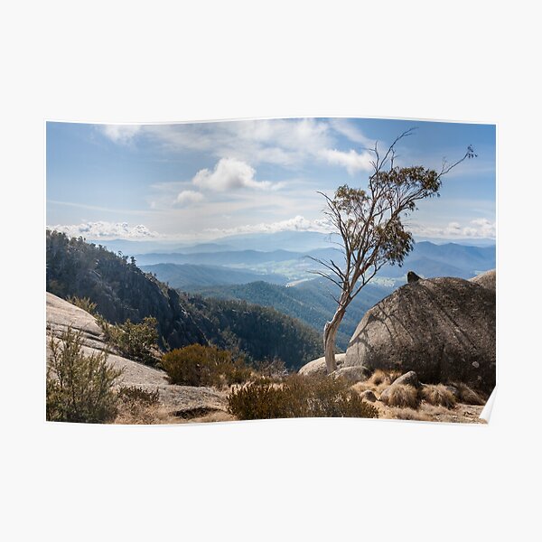 Mt Buffalo Poster