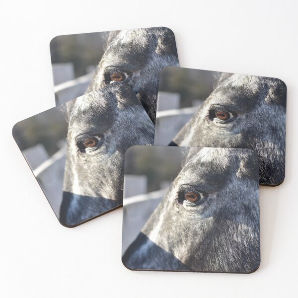Item preview, Soul of the Horse designed and sold by Sanelle.