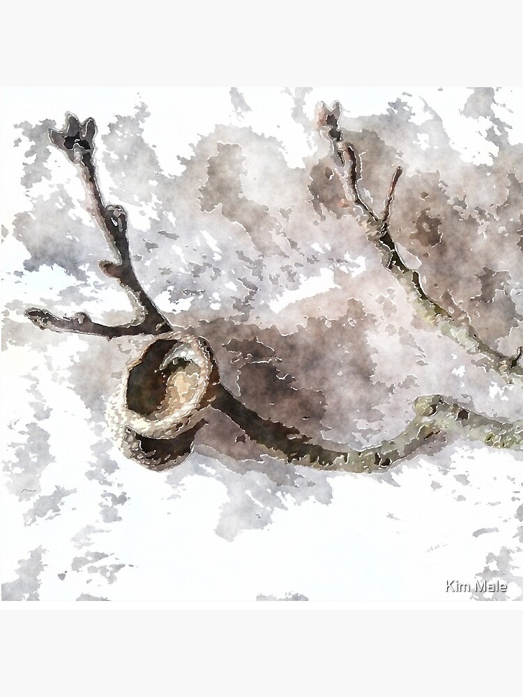 watercolor style Oak twig and acorn cap by lavenderdream