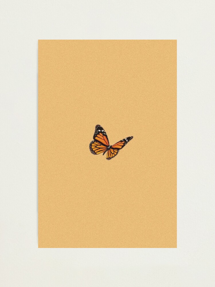 Vsco Butterfly Photographic Print By Yoacat Redbubble