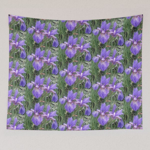 Item preview, Blue irises with raindrops photograph designed and sold by esvb.
