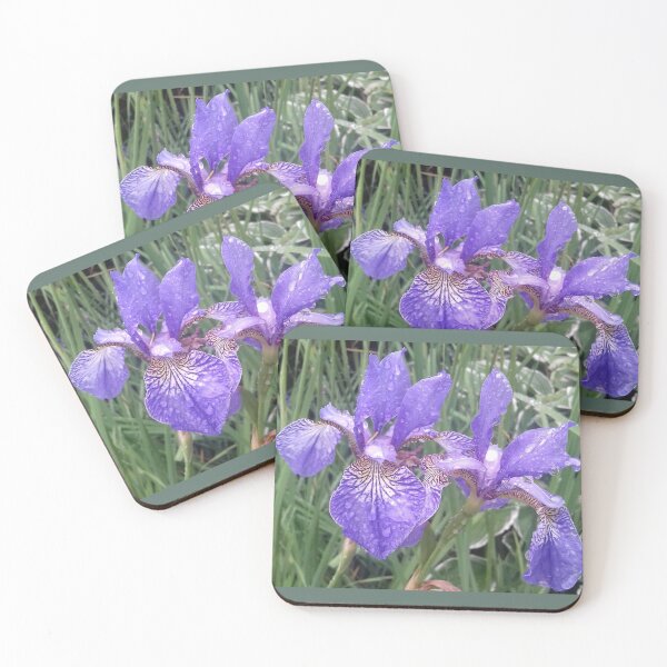 Item preview, Blue irises with raindrops photograph designed and sold by esvb.