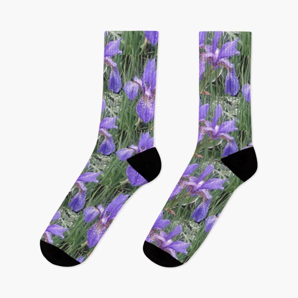 Item preview, Blue irises with raindrops photograph designed and sold by esvb.