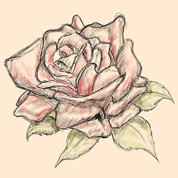 Artwork thumbnail, Rose pattern by Creative Rafa