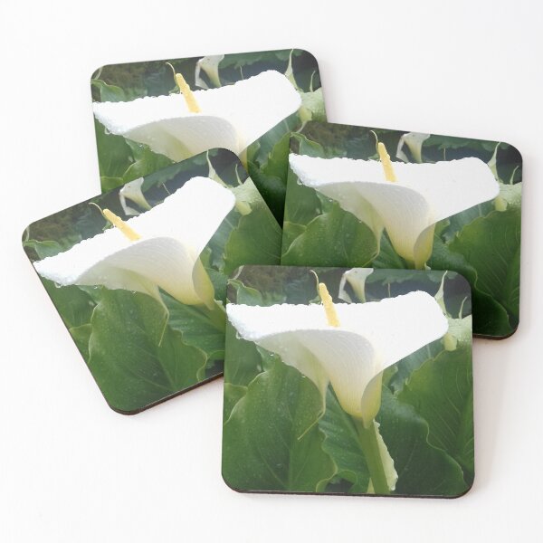 Item preview, White Calla lily photo designed and sold by esvb.