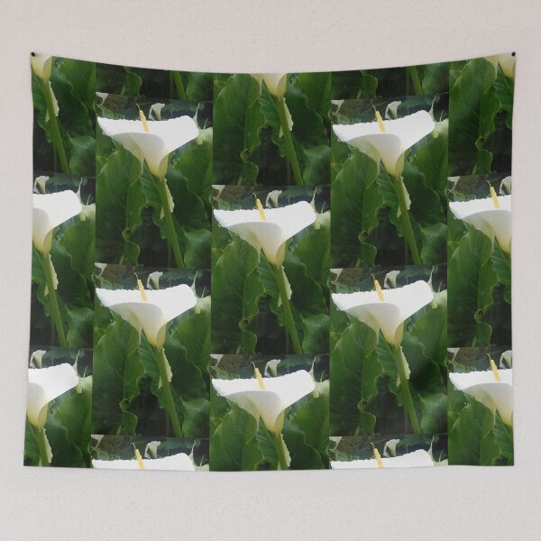 Item preview, White Calla lily photo designed and sold by esvb.