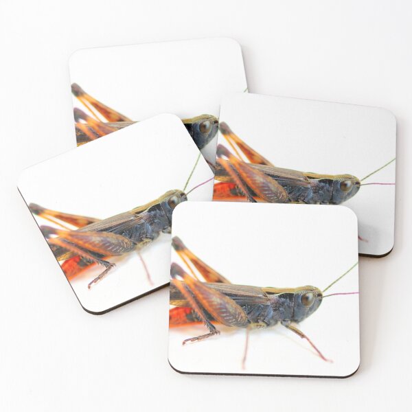 Item preview, Saltamontes negro sobre blanco designed and sold by Grégory DUBUS.