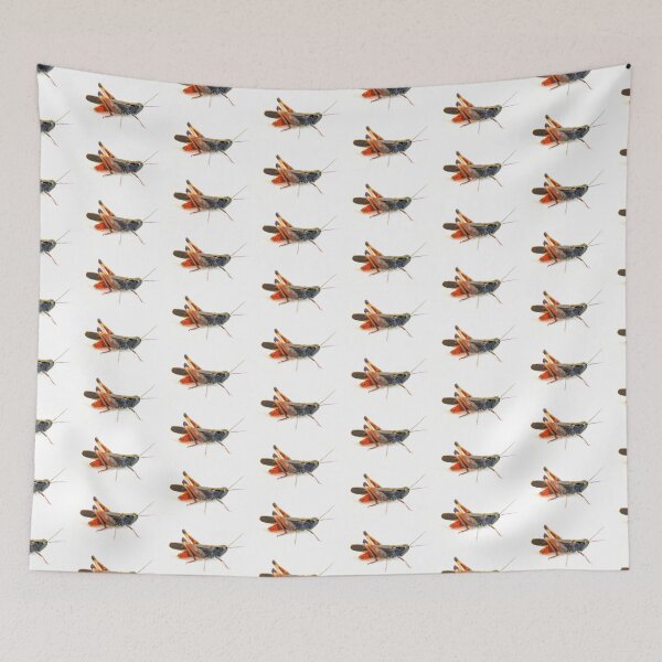 Item preview, Black grasshopper on white designed and sold by Grégory DUBUS.