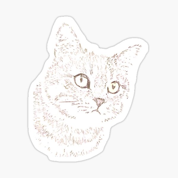 Artikel-Vorschau von Katzenskizze, designt und verkauft von nataliephumble.