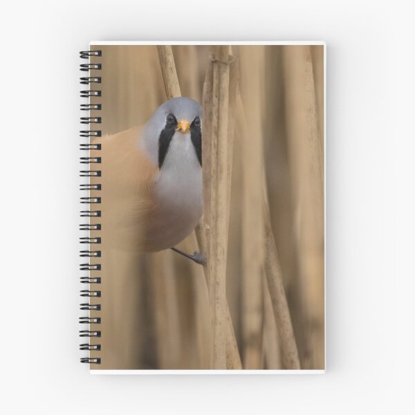 Item preview, Bearded Tit designed and sold by LaurenTucker.