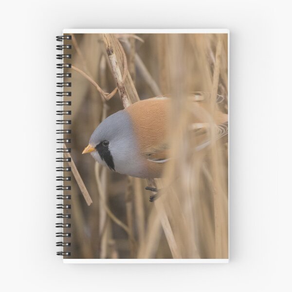 Item preview, Bearded Tit designed and sold by LaurenTucker.