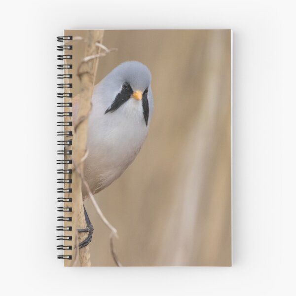 Item preview, Bearded Tit designed and sold by LaurenTucker.