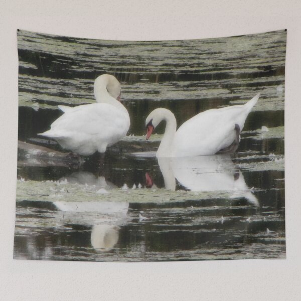 Item preview, Canadian Swans designed and sold by ArtOfE.