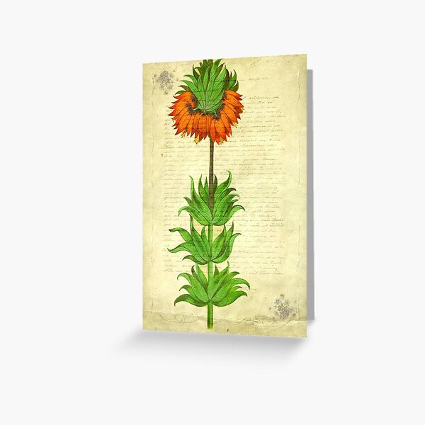 Memories of a time past © Greeting Card