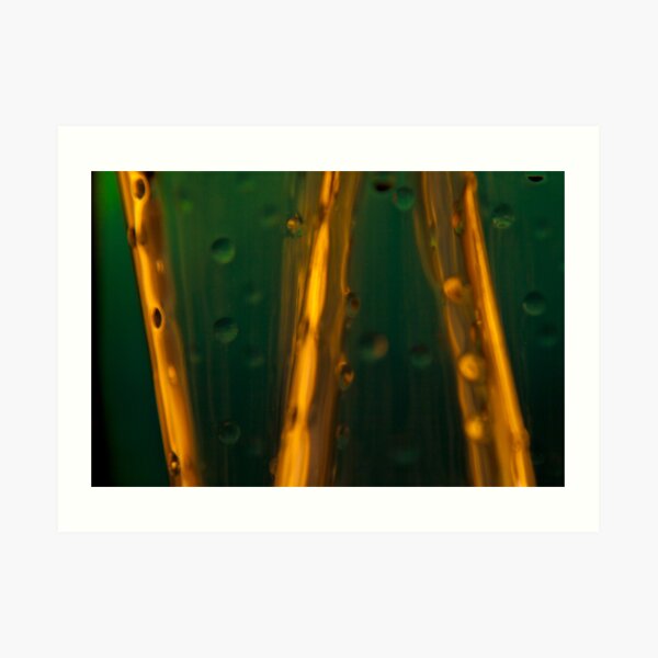 Ode to glass (10) Art Print