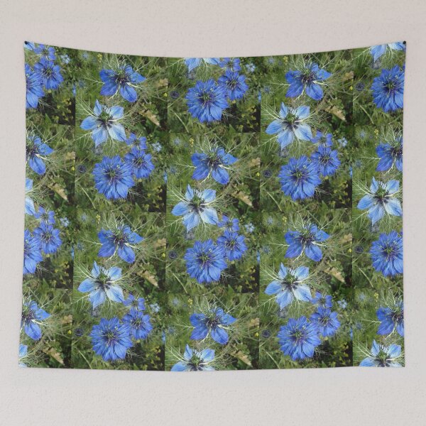 Item preview, Blue love-in-a-mist photograph designed and sold by esvb.
