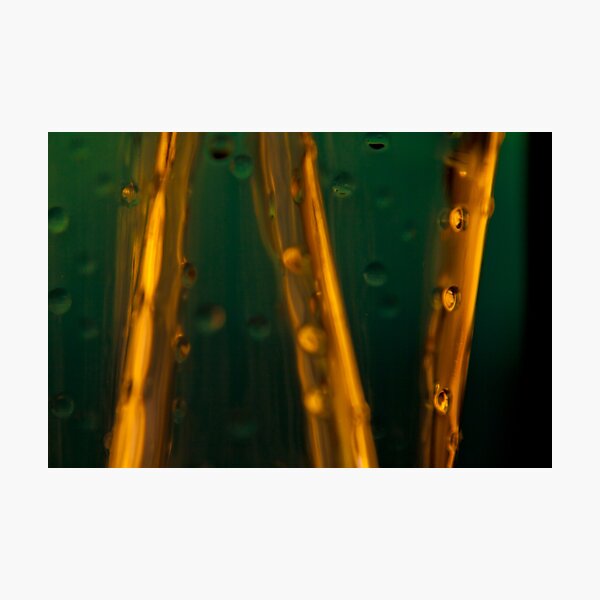 Ode to glass (11) Photographic Print