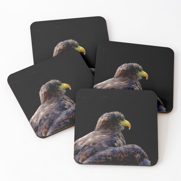 Item preview, Sea Eagle designed and sold by Photography  by Mathilde.
