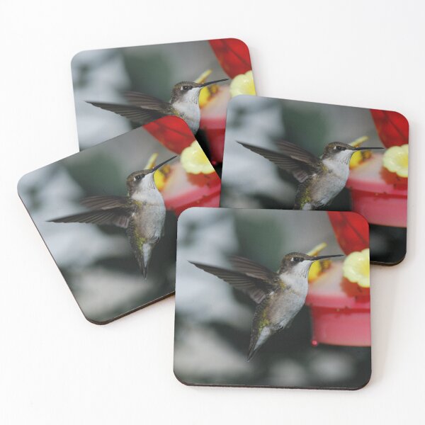 Item preview, humming bird frozen in flite designed and sold by GaryR46953.