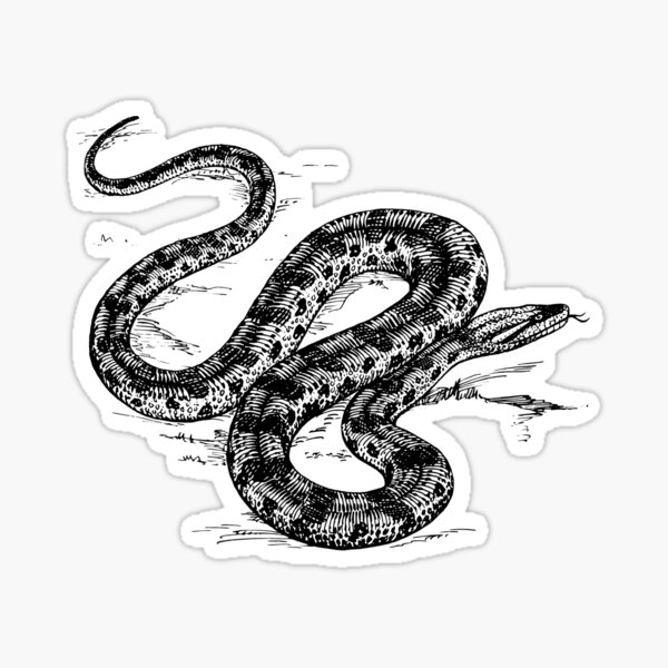 Pegatinas Anaconda Redbubble