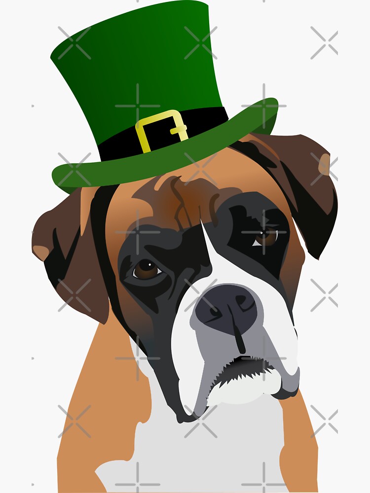 patrick day boxer trainer