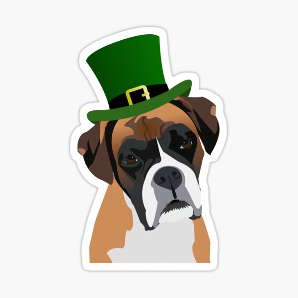 boxer dog with hat