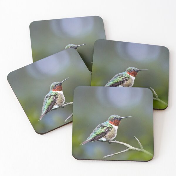Item preview, Ruby Throated Hummingbird designed and sold by Christina Rollo.