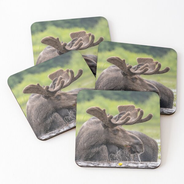 Item preview, Bull Moose designed and sold by Simpsonwildlife.