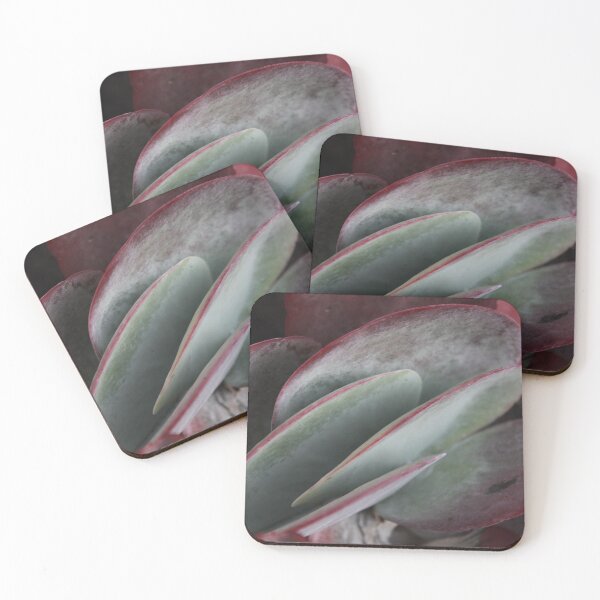 Item preview, Succulent Pink and Green designed and sold by Lettie Cronje-Steyn.
