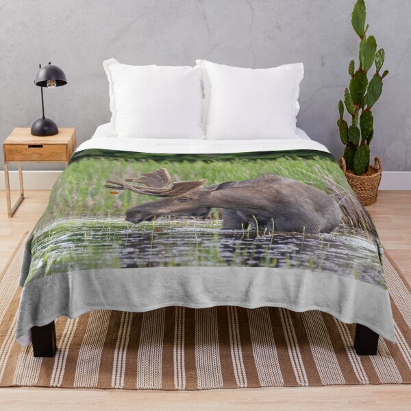 Item preview, Bull Moose designed and sold by Simpsonwildlife.