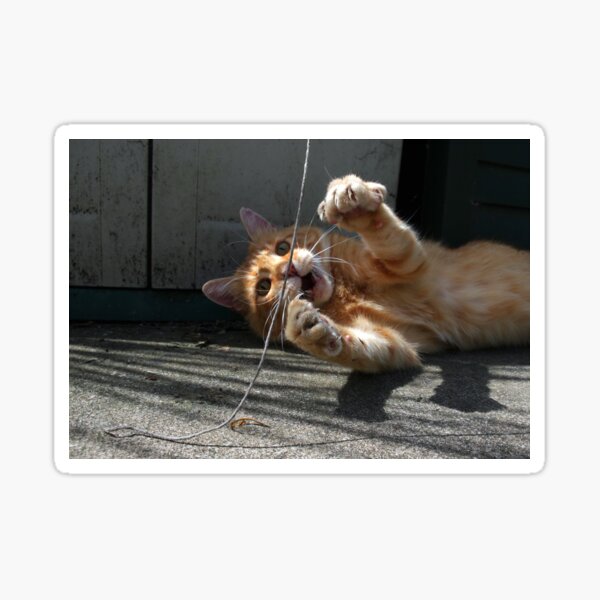 OMG! Sticker