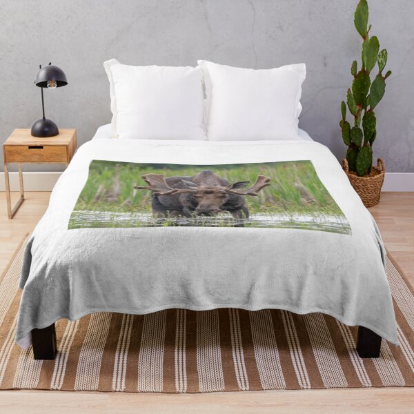 Item preview, Bull Moose designed and sold by Simpsonwildlife.