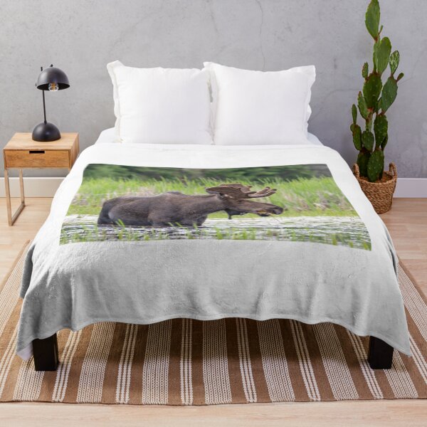 Item preview, Bull Moose designed and sold by Simpsonwildlife.