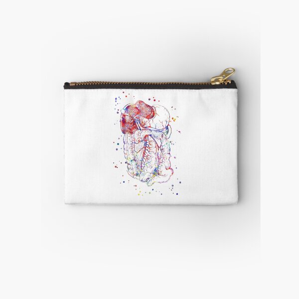 Item preview, Abdomen and Pelvis anatomy, stomach, pancreas, liver, rectum, medical art designed and sold by Rosaliartbook.
