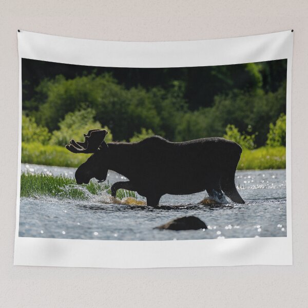 Item preview, Back Light Bull Moose designed and sold by Simpsonwildlife.