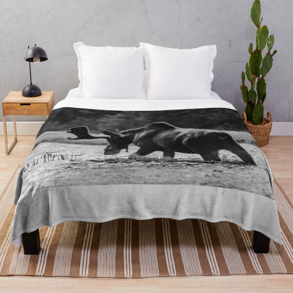 Item preview, B&W Bull Moose designed and sold by Simpsonwildlife.