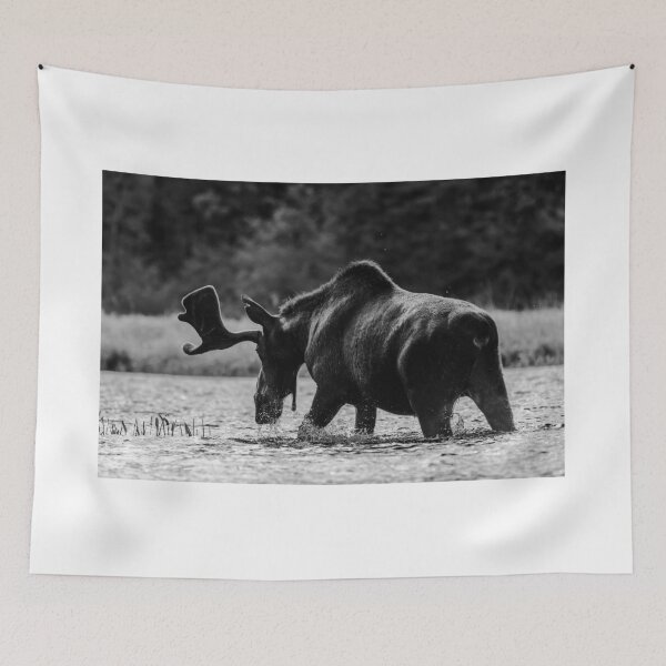 Item preview, B&W Bull Moose designed and sold by Simpsonwildlife.