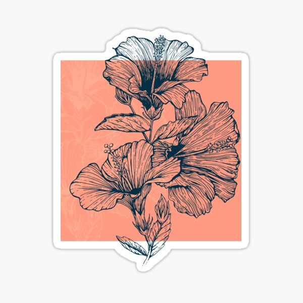 Hibiscus Colors Sticker