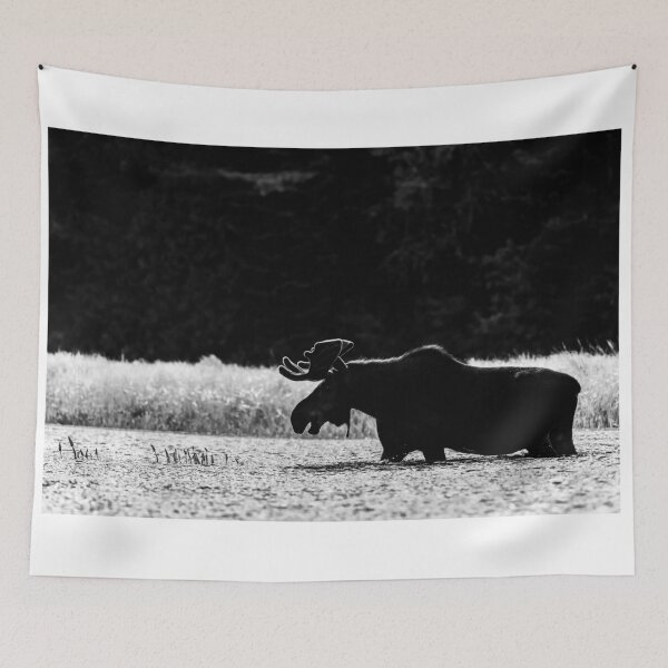 Item preview, Back Light B&W Bull Moose designed and sold by Simpsonwildlife.