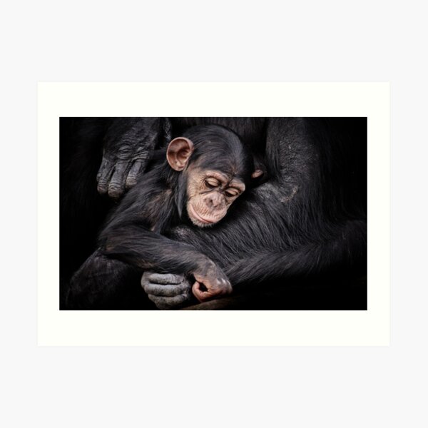 Protection II Art Print