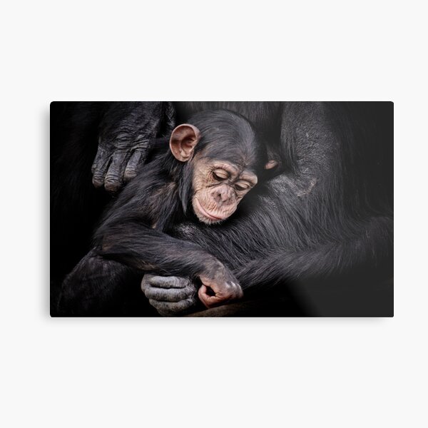 Protection II Metal Print