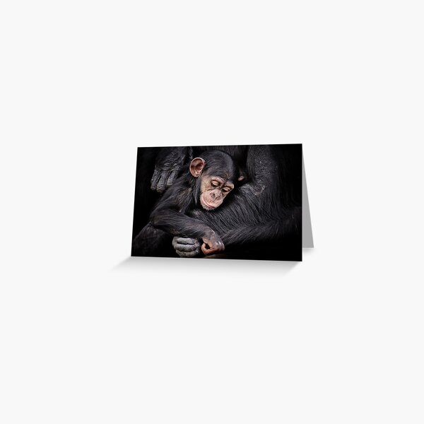 Item preview, Protection II designed and sold by Natalie Manuel.