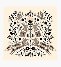 Woodland Folklore Photographic Print
