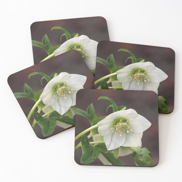 Item preview, White Flower  designed and sold by ellenmpics.