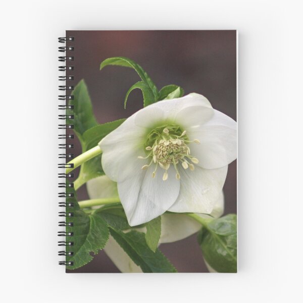 Item preview, White Flower  designed and sold by ellenmpics.