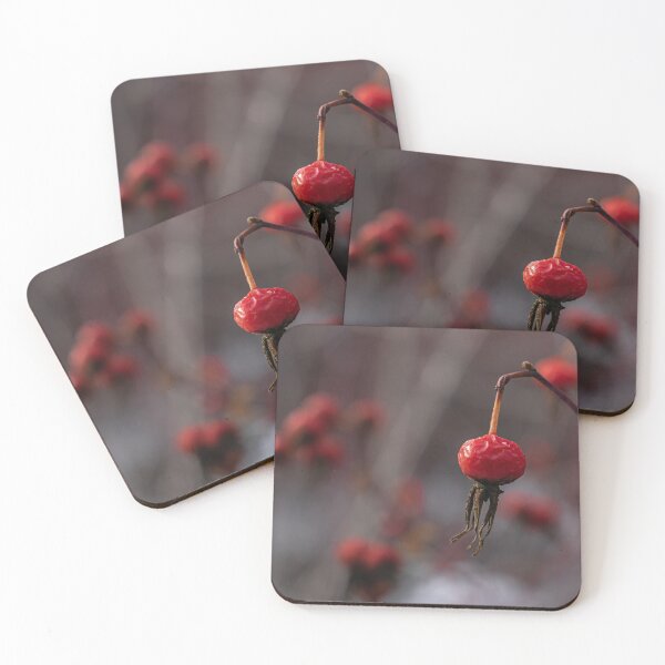 Item preview, Aging Winter Berry designed and sold by Len Bomba.