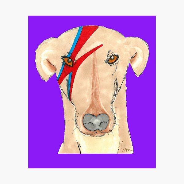 Item preview, Ziggy Stardog Purple - Greyhound Ziggy with a purple background designed and sold by JaneWrenArt.