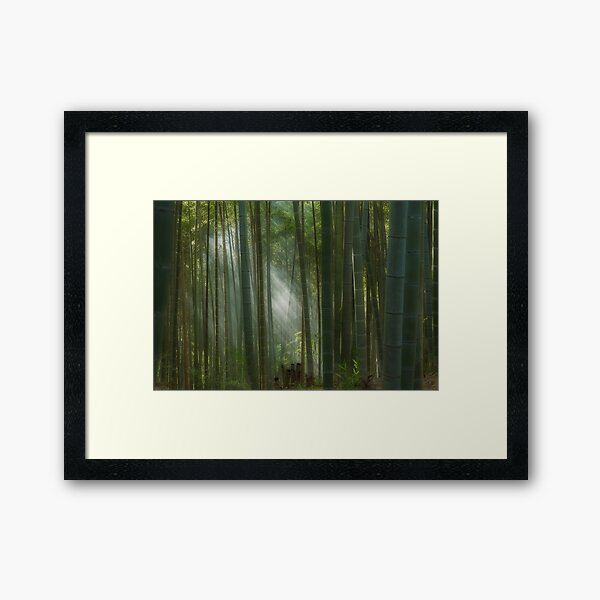 The mystic bamboo forest of Kyoto, Japan Framed Art Print