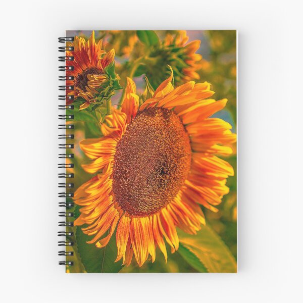 Item preview, #131 Sunflower designed and sold by phutball.