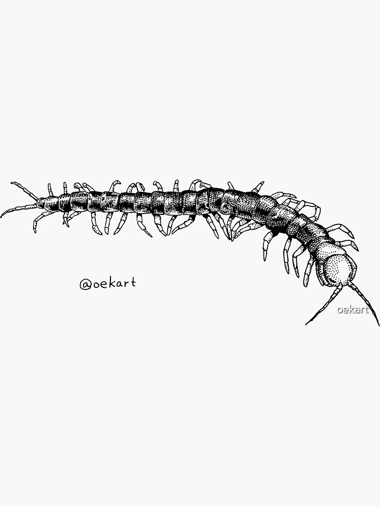 Thumbnail 3 of 3, Sticker, Centipede! designed and sold by oekart.